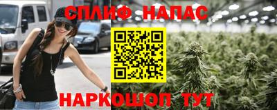 дживик Ачхой-Мартан