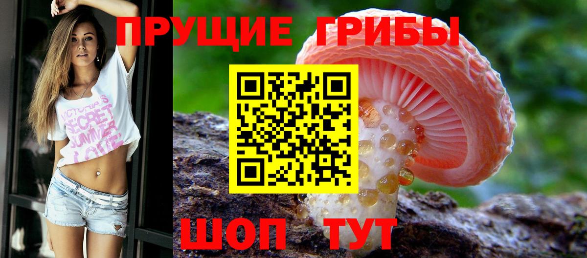 Среднеуральск  Псилоцибиновые грибы GOLDEN TEACHER  Вход с VPN  Галлюциногенные грибы мухоморы 